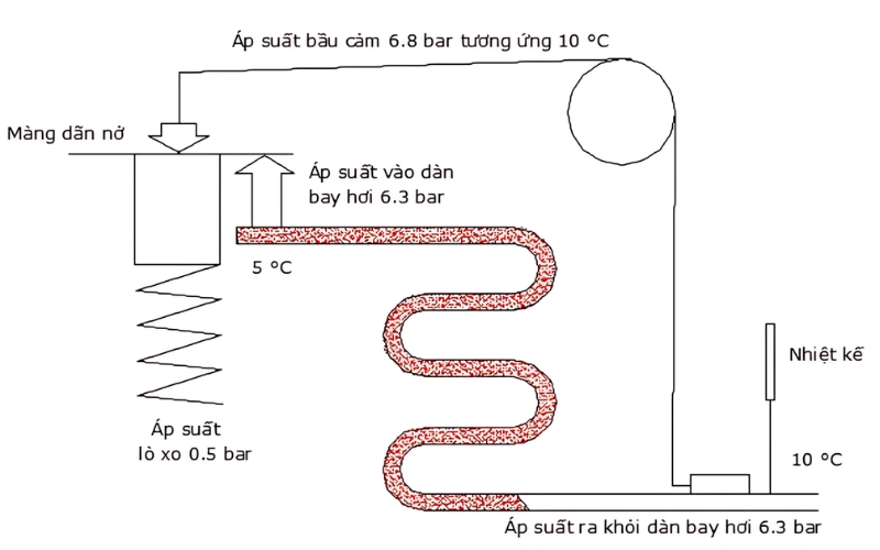 Cấu tạo và nguyên lý hoạt động của van tiết lưu nhiệt cân bằng ngoài.